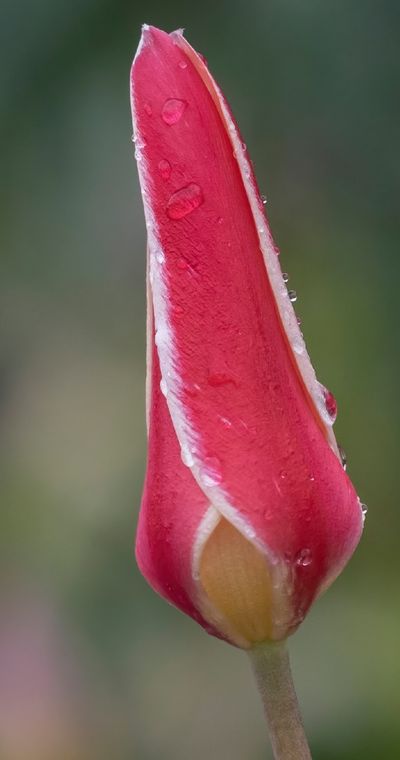 SK Photography