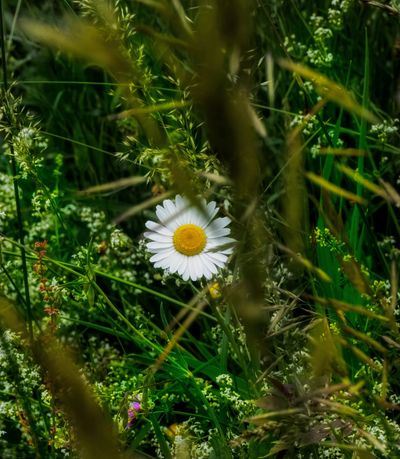 SK Photography